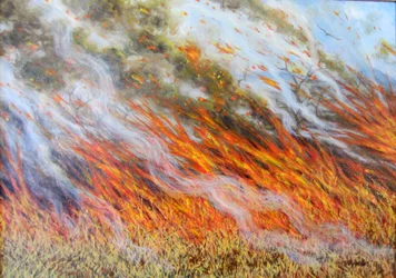 Inferno de feu de brousse, 2014